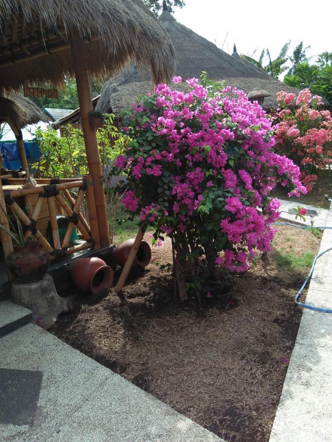 Tua Tua Keladi Bungalows Gili Air Eksteriør bilde